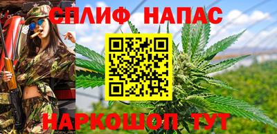 шишки Можга