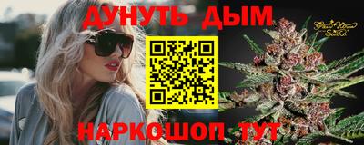 Альфа ПВП Малгобек